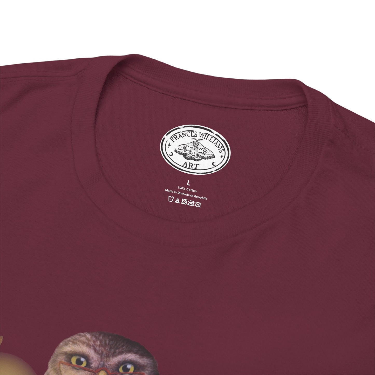 Bookish Owl Unisex Heavy Cotton Tee