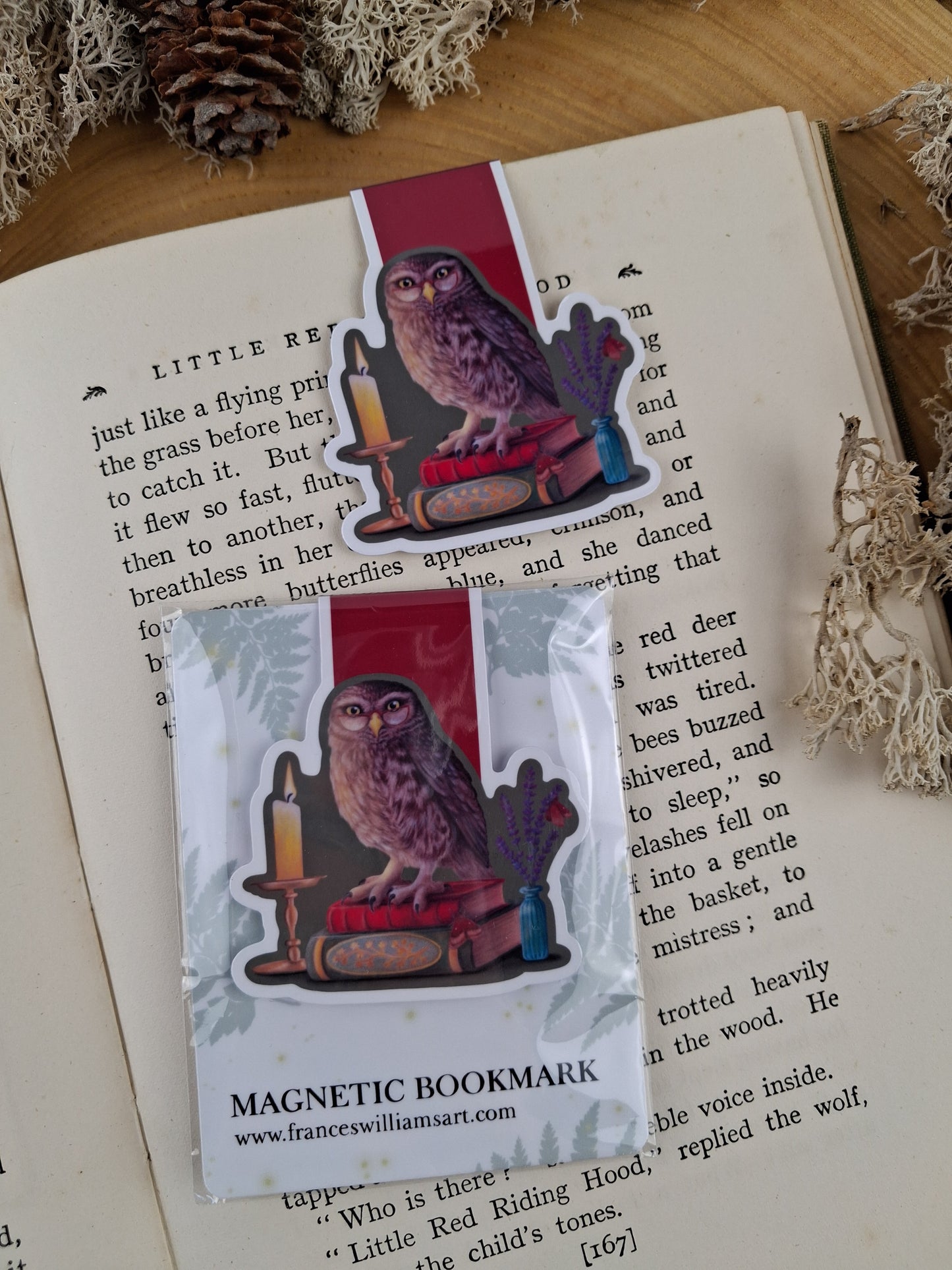 Bookish Owl Magnetic Bookmark