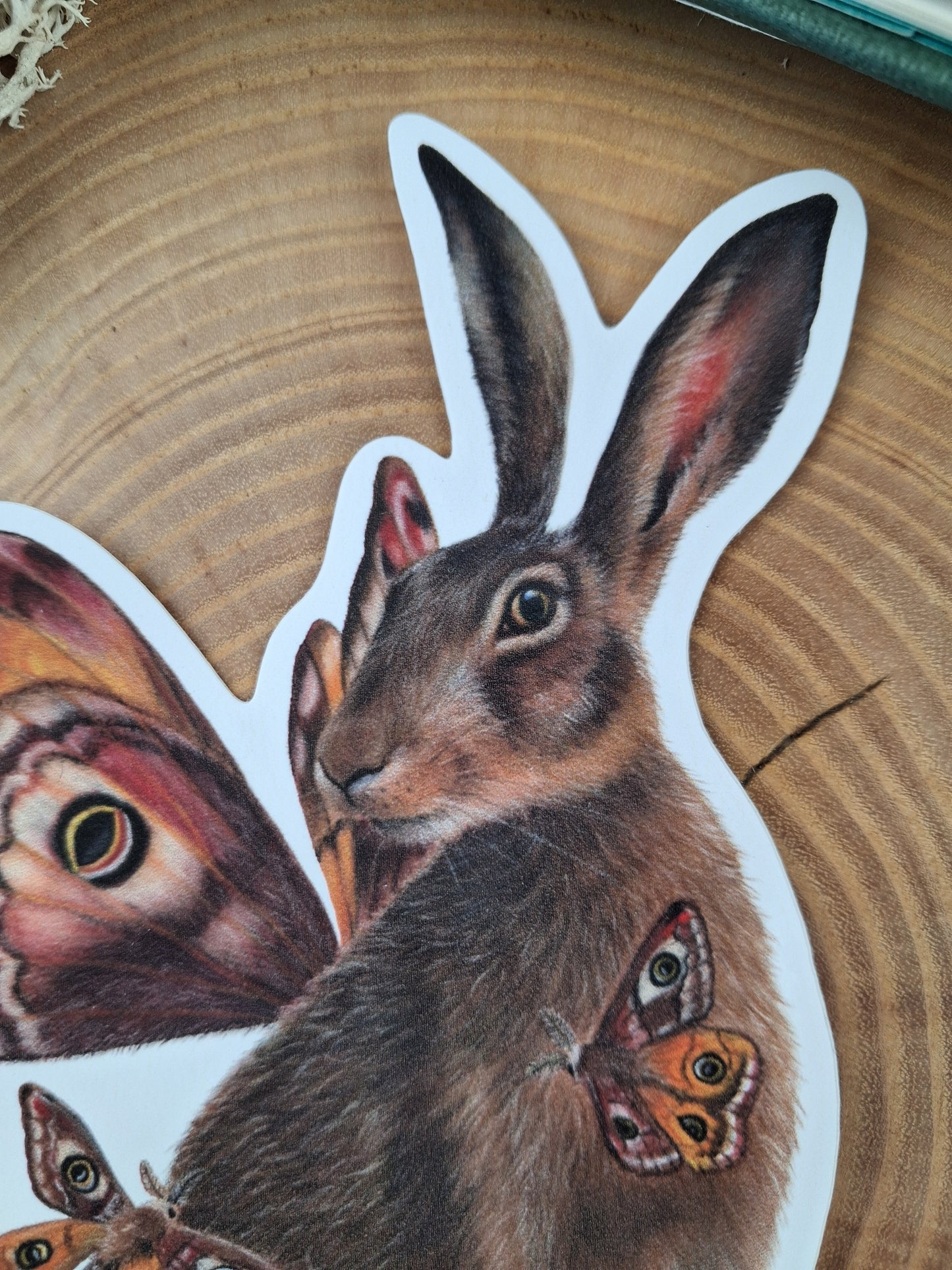 Hare with Moths Sticker