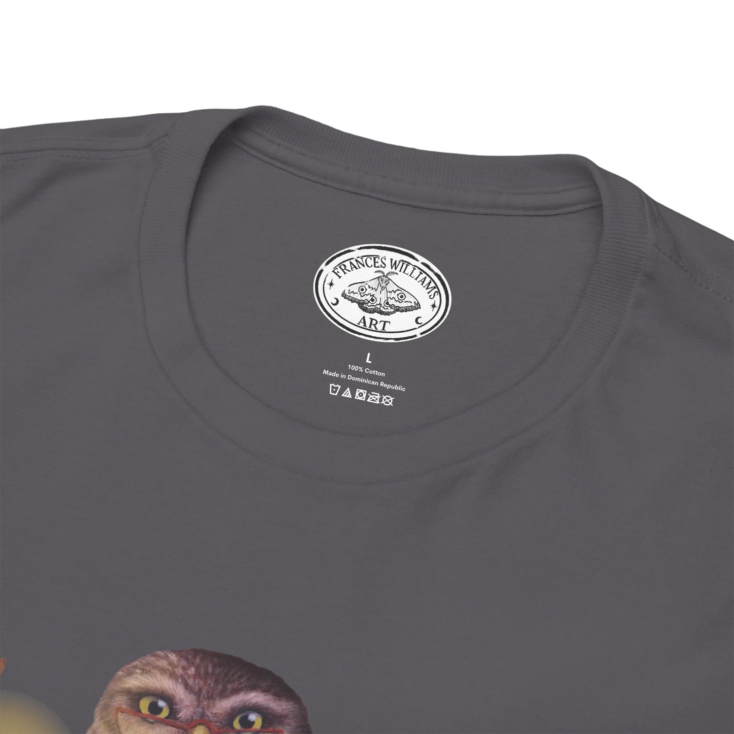 Bookish Owl Unisex Heavy Cotton Tee