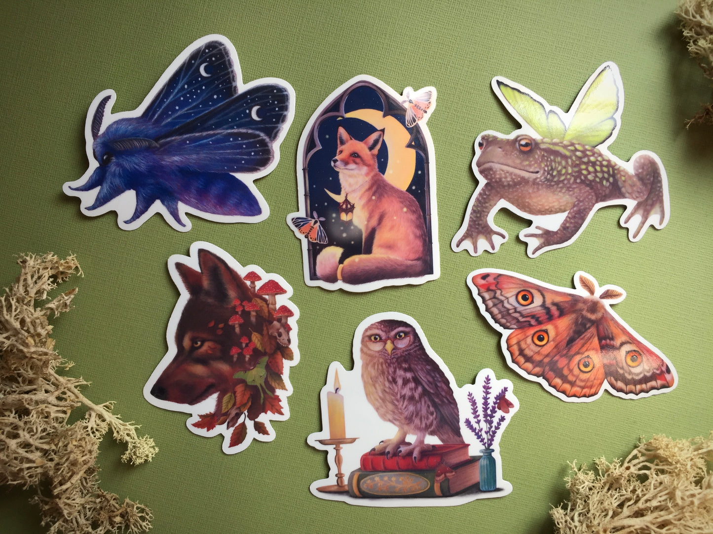 The Stationary Lover Bundle