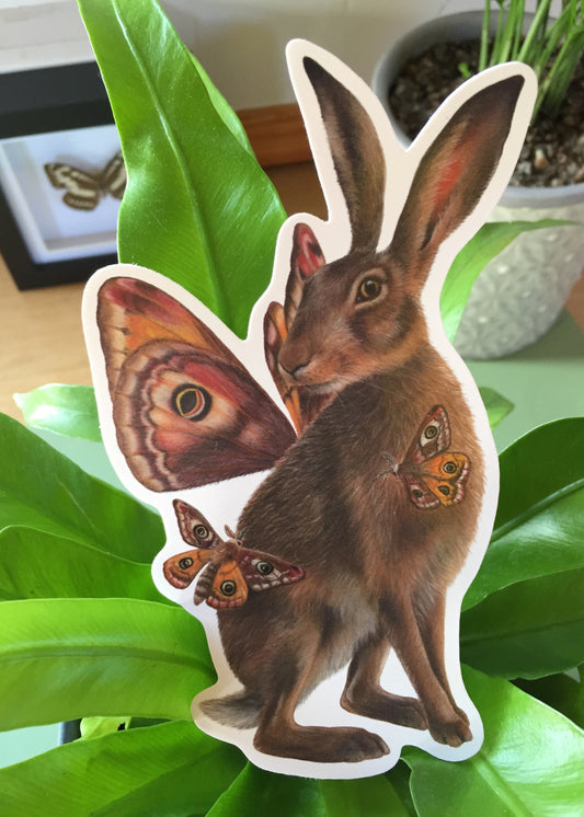 Hare with Moths Sticker B Grade