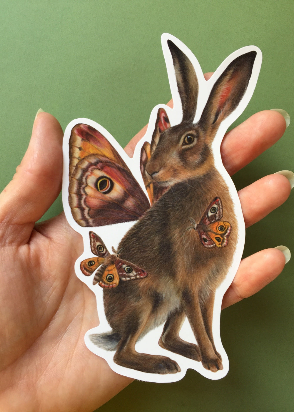 Hare with Moths Sticker B Grade