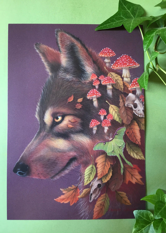 Autumn Wolf Art Print, B Grade