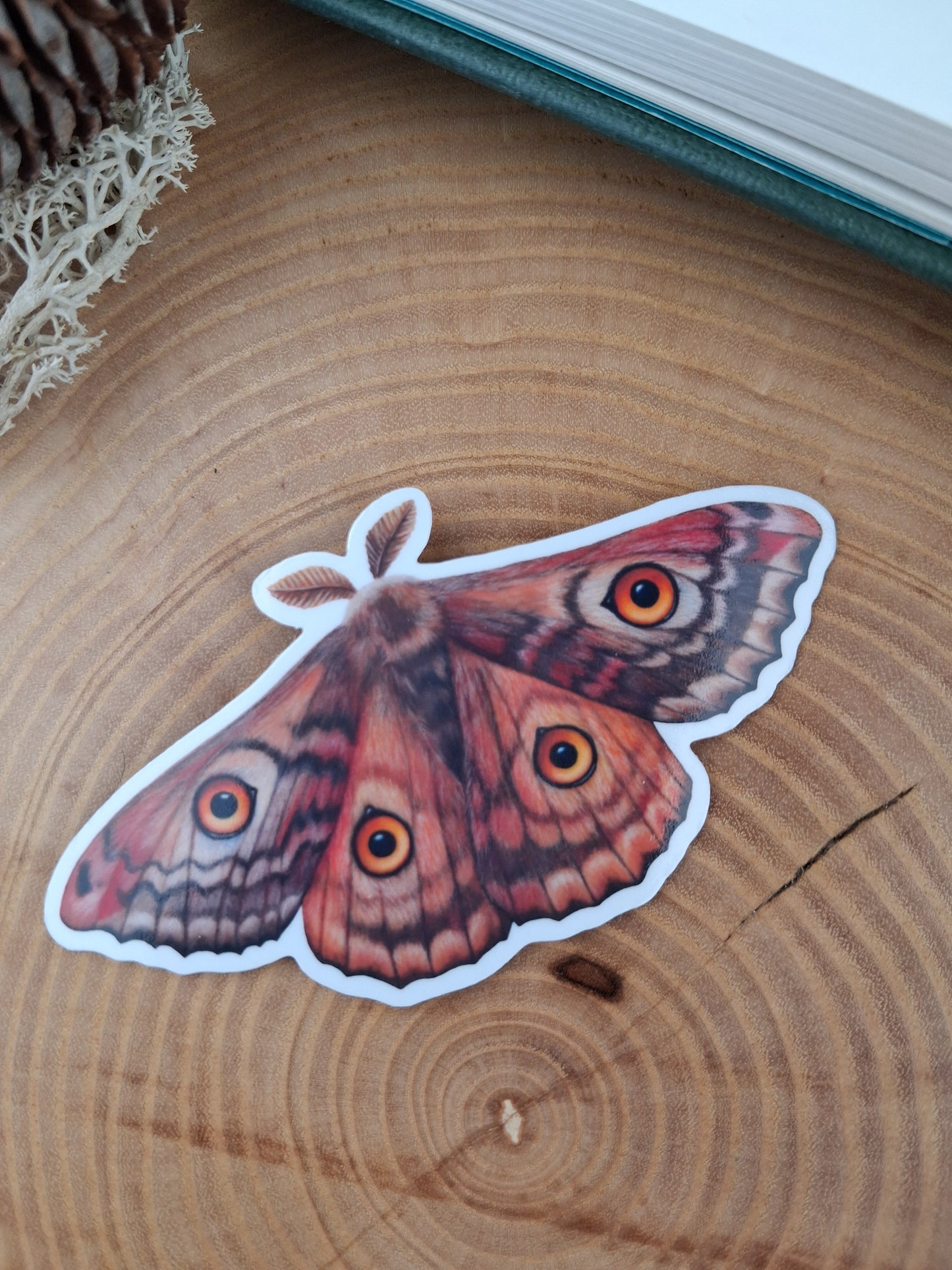 Owl Eyed Moth Vinyl Sticker