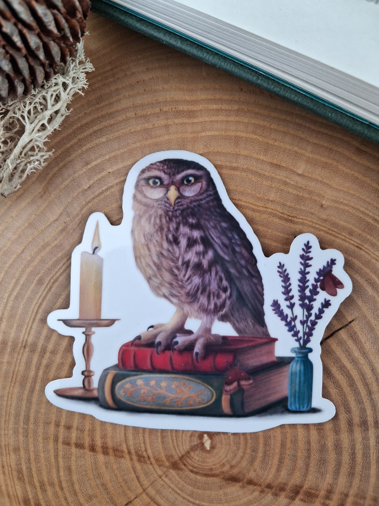 Bookish Owl Vinyl Sticker