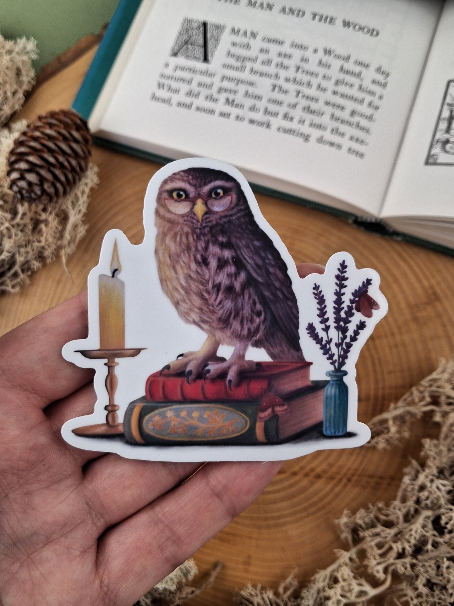 Bookish Owl Vinyl Sticker