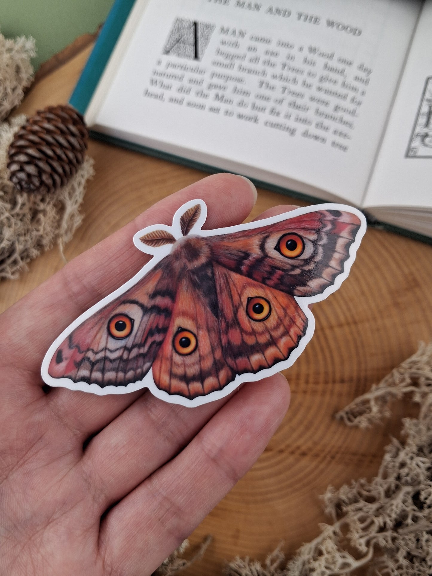 Owl Eyed Moth Vinyl Sticker