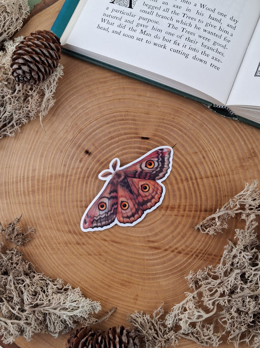 Owl Eyed Moth Vinyl Sticker