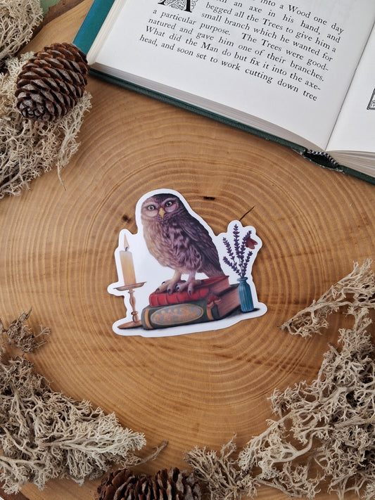 Bookish Owl Vinyl Sticker