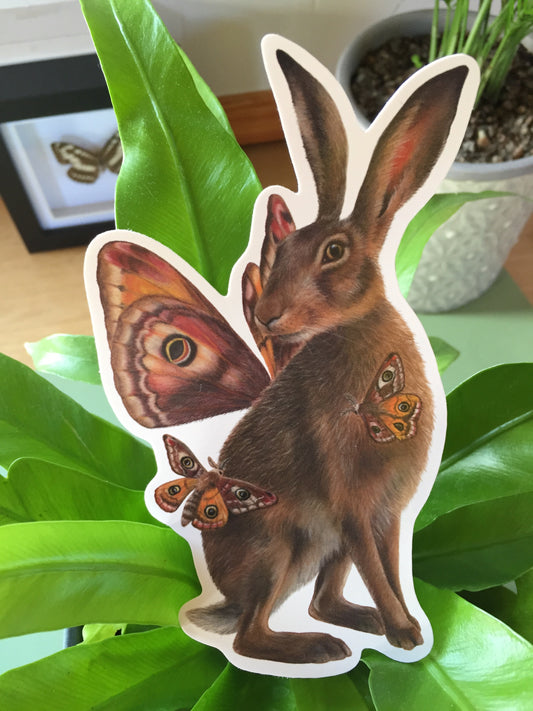 Hare and Moths